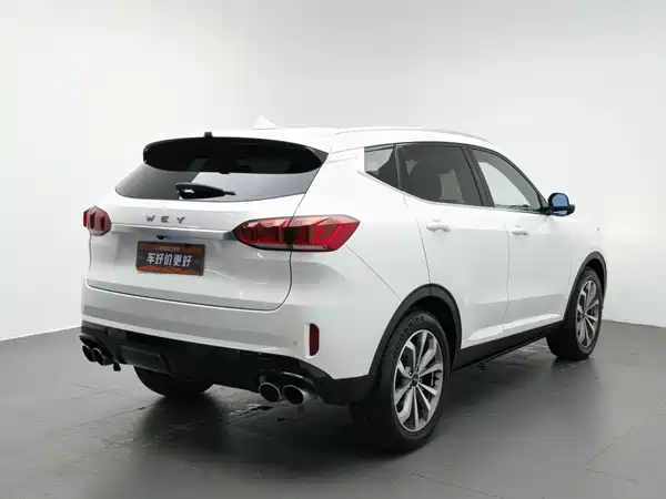 Wey VV6 2019