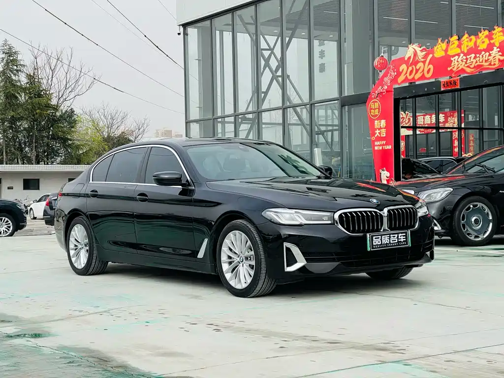 BMW 5 Series New Energy 2021 — фото 6
