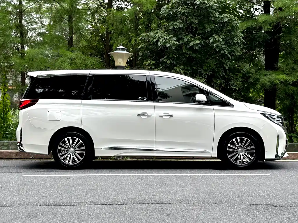 GAC Motor Trumpchi M8 2022 — фото 10