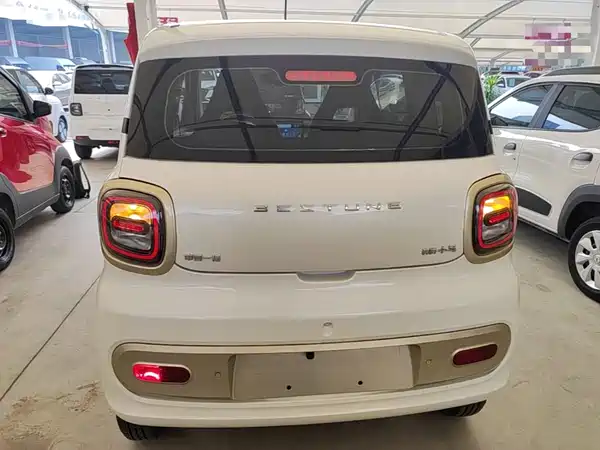 Bestune Pony 2024