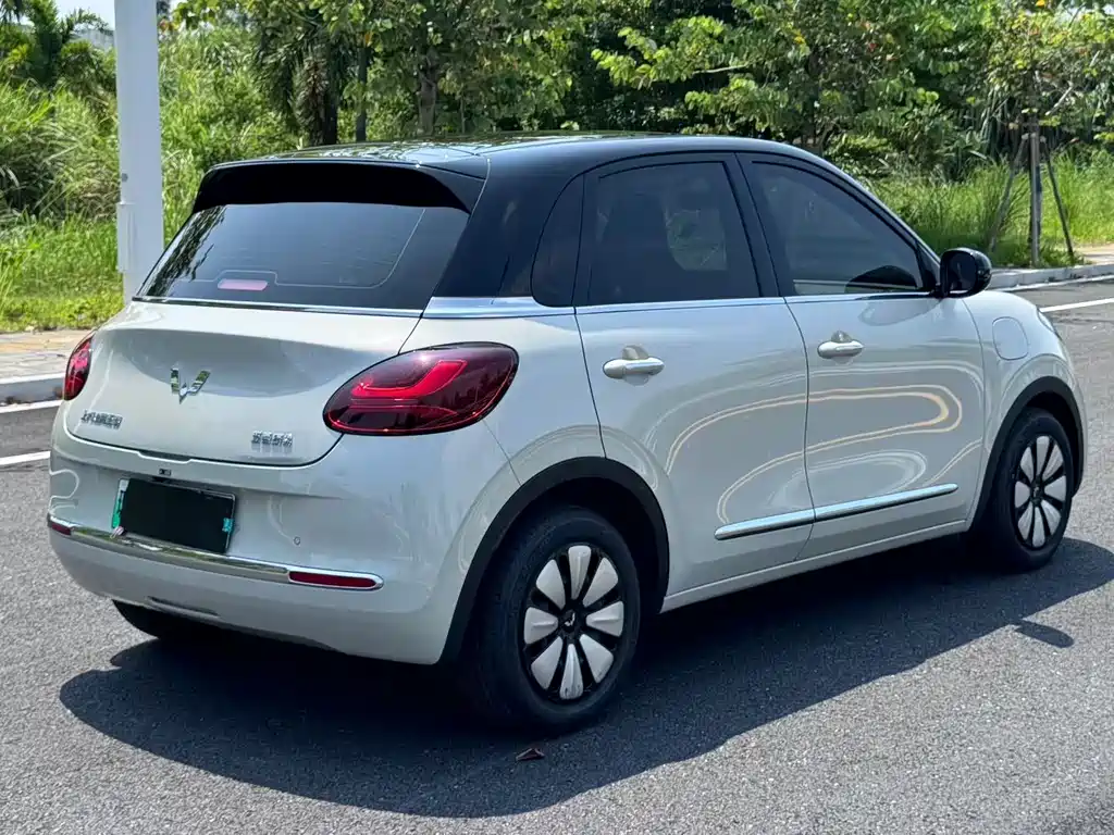 Wuling Bingo 2024