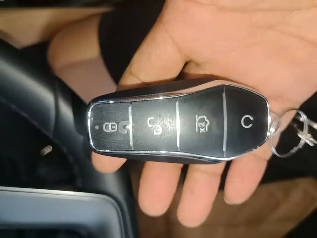 BYD Song L DM-i 2025 — фото 9