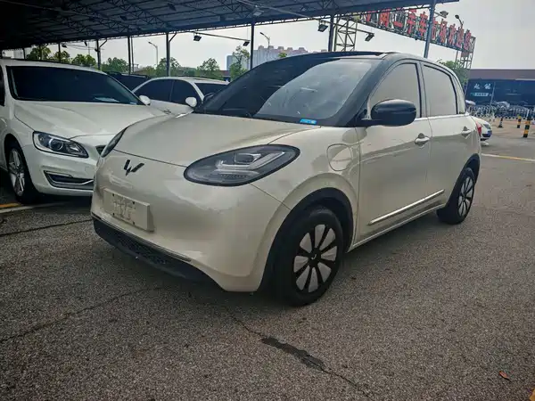 Wuling Bingo 2024