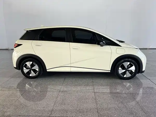 BYD Dolphin 2024
