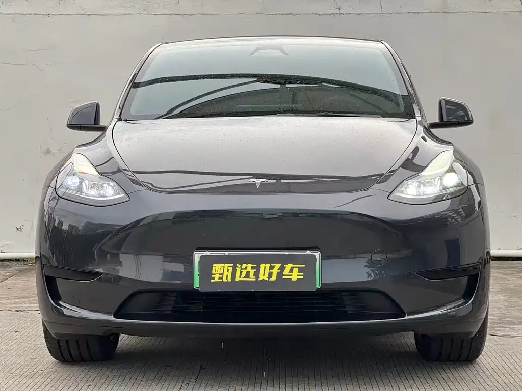 Tesla Model Y 2024 — фото 2