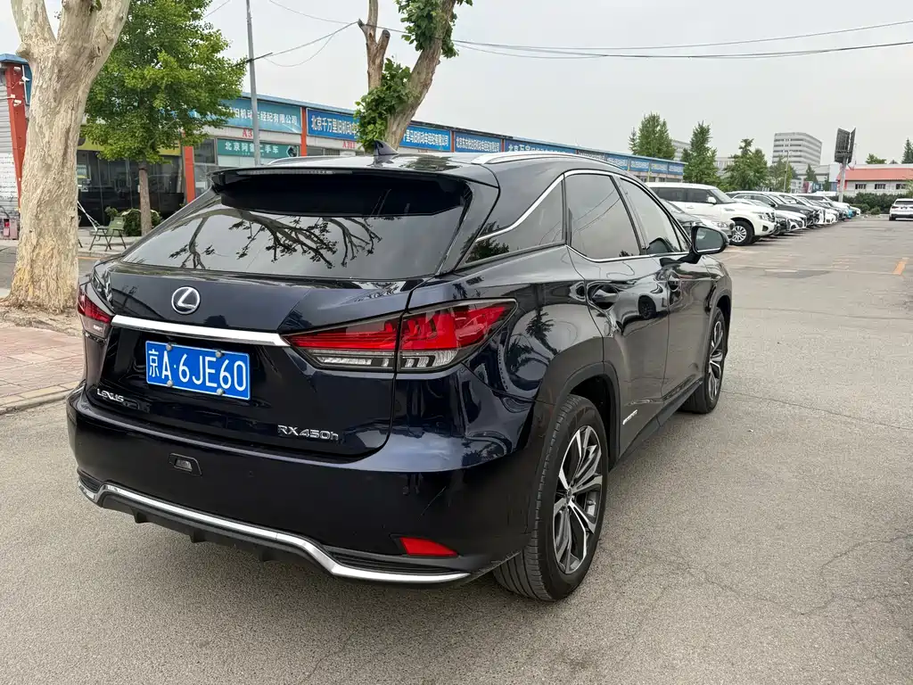 Lexus RX 2020 — фото 15