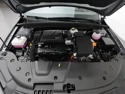 BYD Qin PLUS 2024