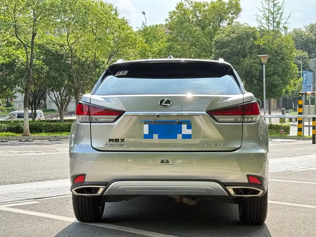 Lexus RX 2020 — фото 13