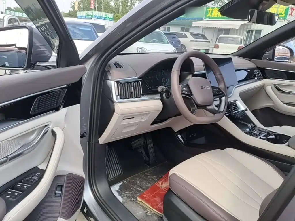 BYD PLUS New Energy 2025 — фото 16
