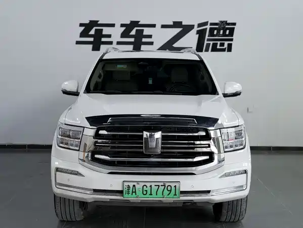 Tank 500 New Energy 2024