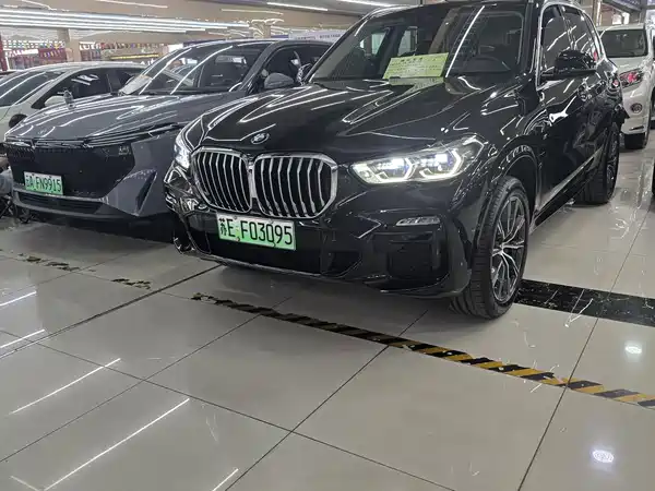 BMW X5 New Energy 2021