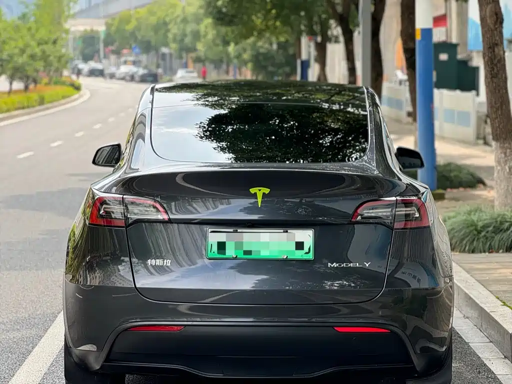 Tesla Model Y 2024 — фото 3