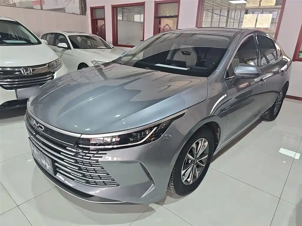 BYD Destroyer 05 2024 — фото 2