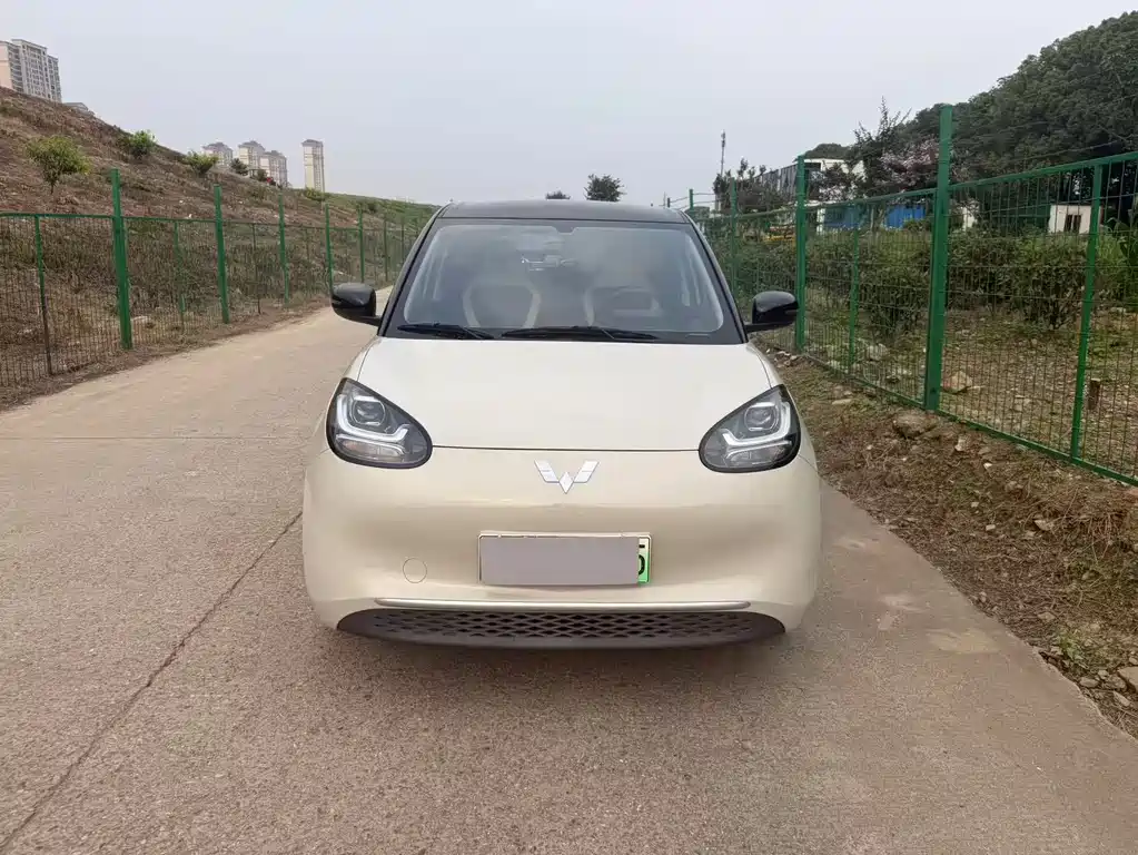 Wuling Bingo 2024