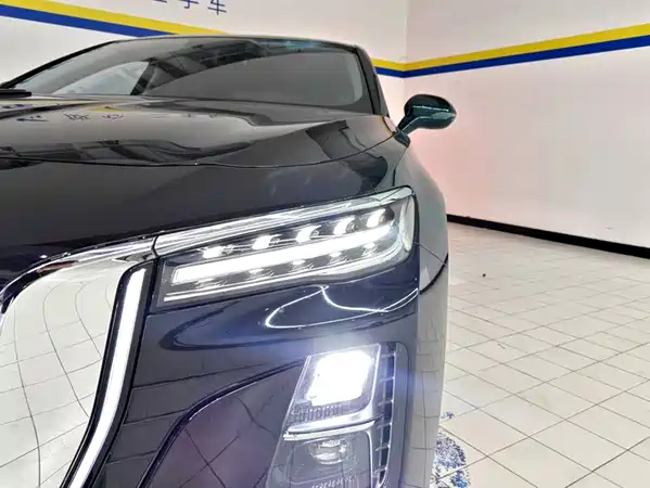 Hongqi H5 2024