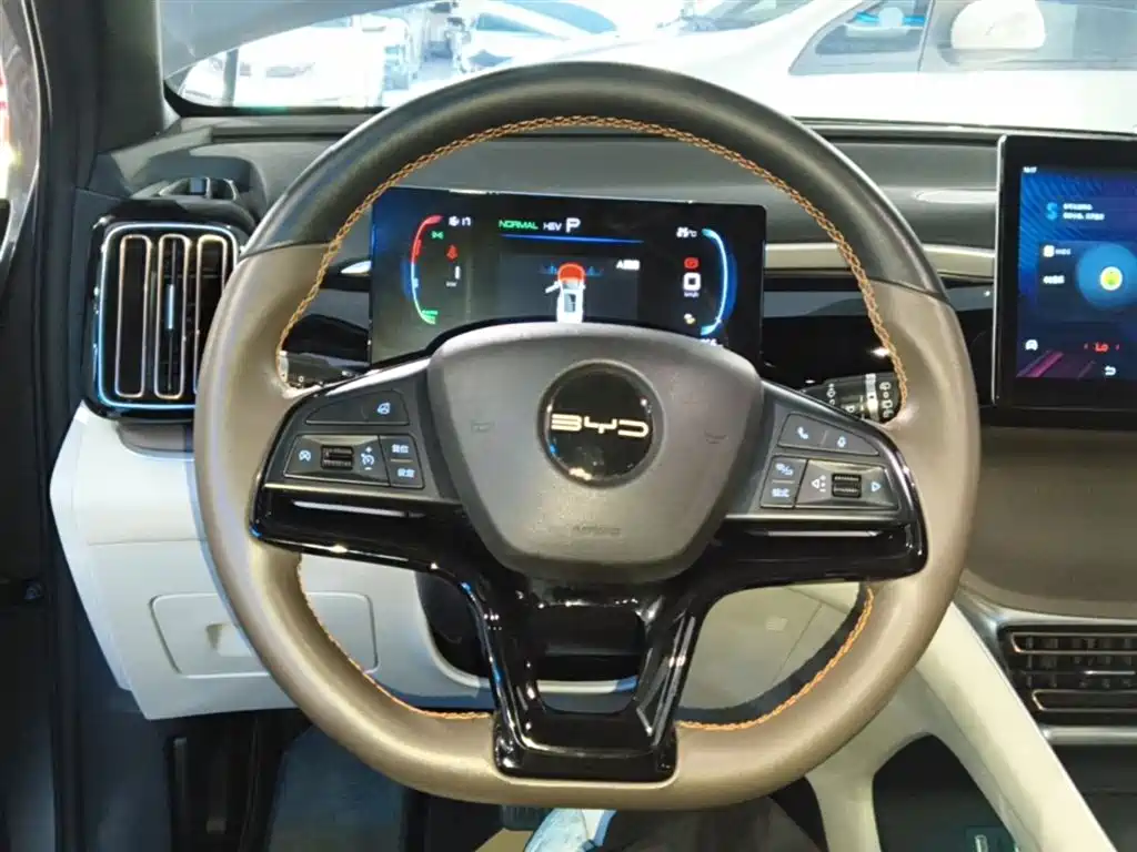 BYD Pro New Energy 2022 — фото 11