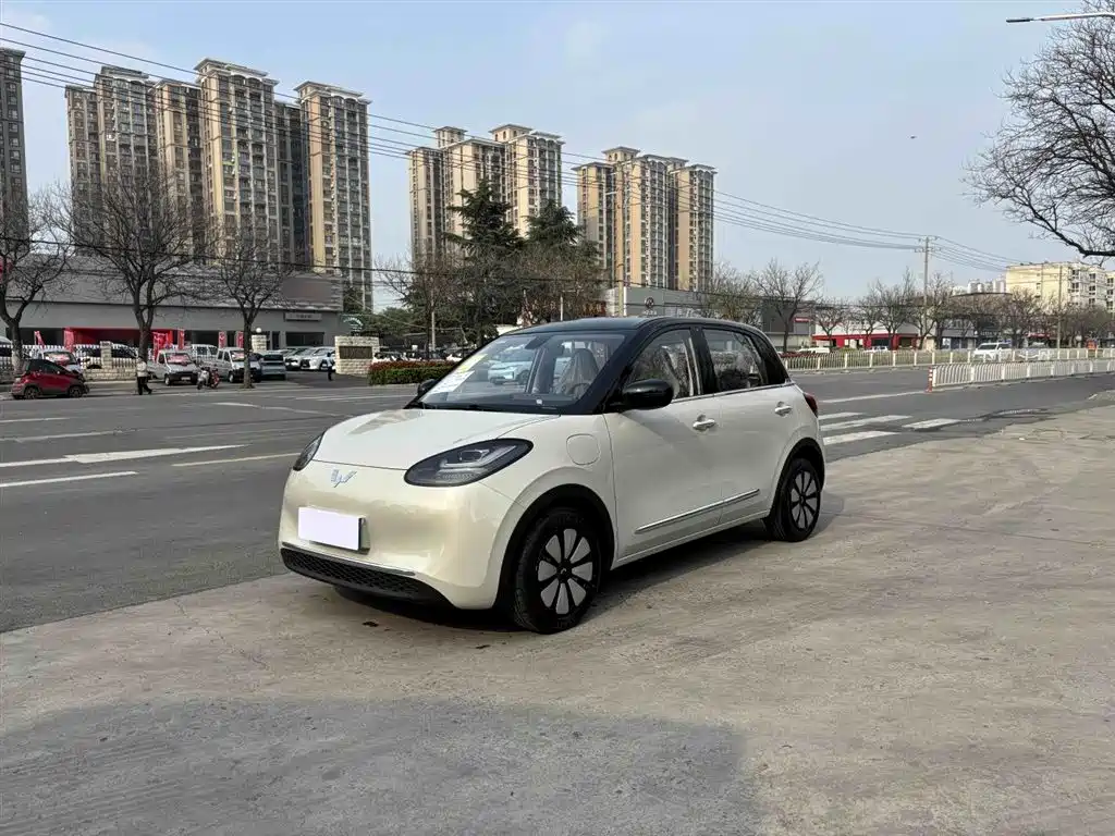 Wuling Bingo 2026