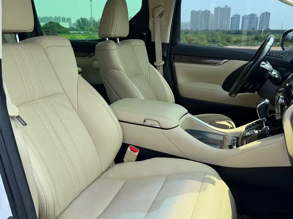 Toyota Alphard 2019 — фото 14