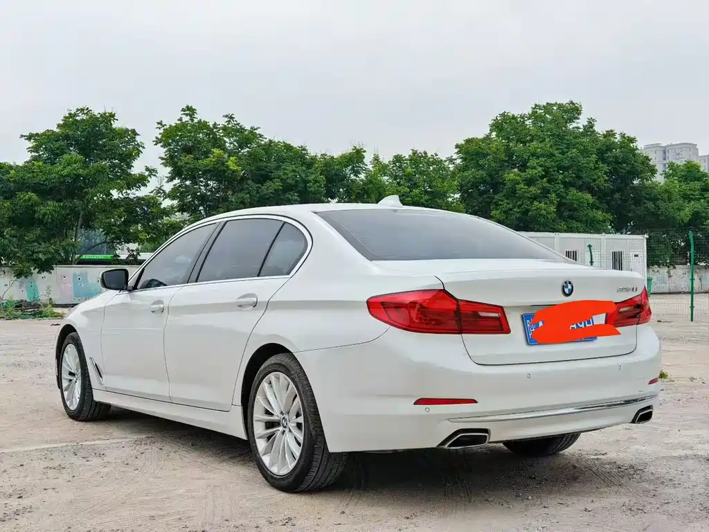 BMW 5 Series 2019