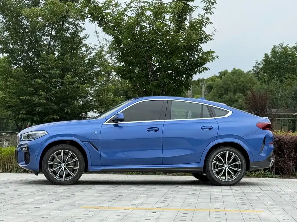 BMW X6 2021