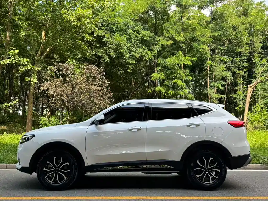 Haval H6 2024 — фото 14