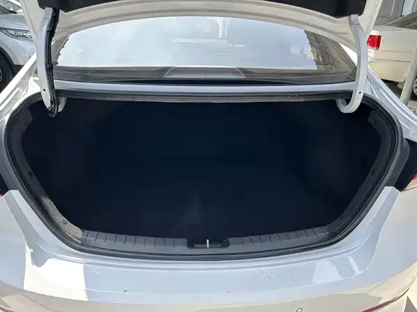 Hyundai Celesta 2019