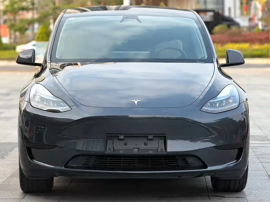Tesla Model Y 2024 — фото 2