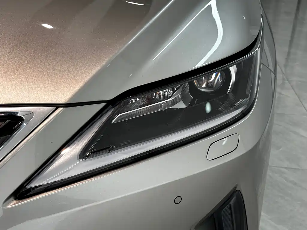 Lexus RX 2020 — фото 15