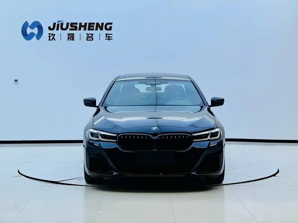 BMW 5 Series New Energy 2021 — фото 4