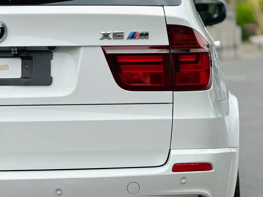 BMW X5 M 2014 — фото 4