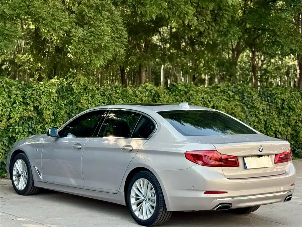 BMW 5 Series 2019