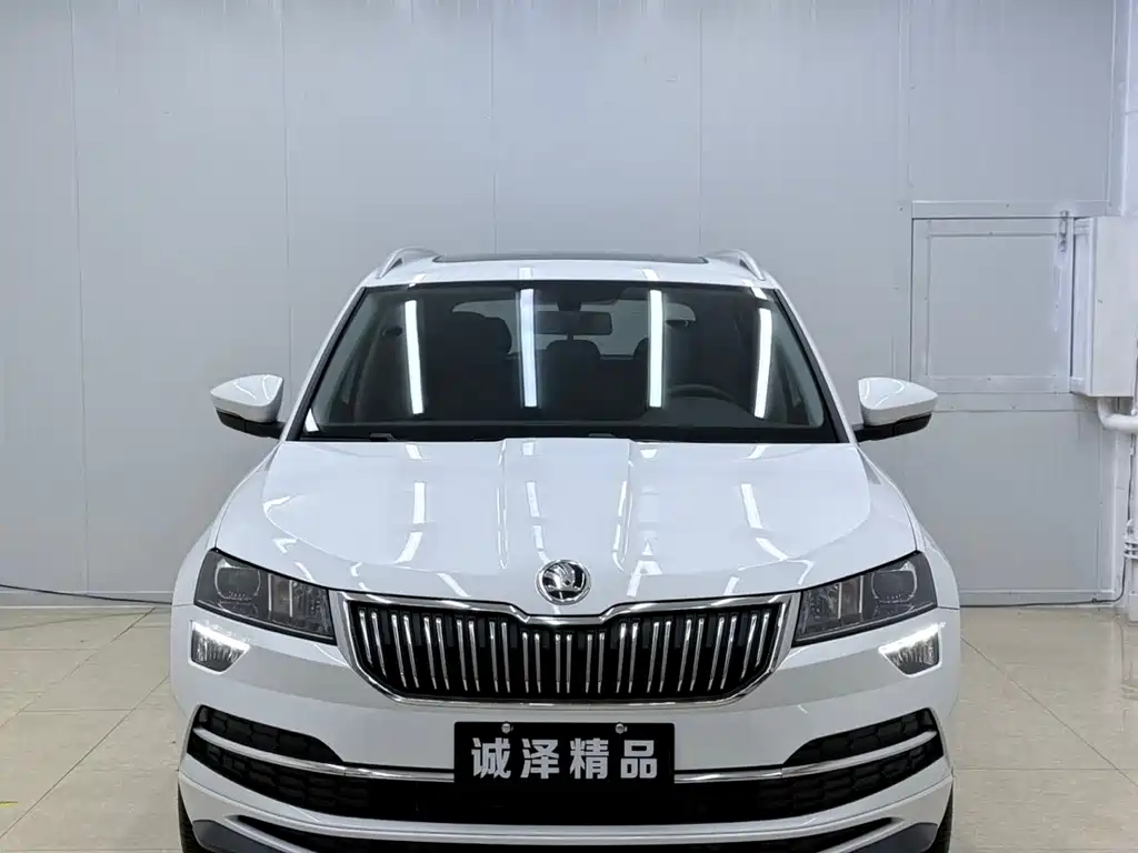 Skoda Karoq 2024 — фото 2
