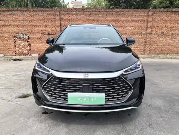 BYD Tang New Energy 2024