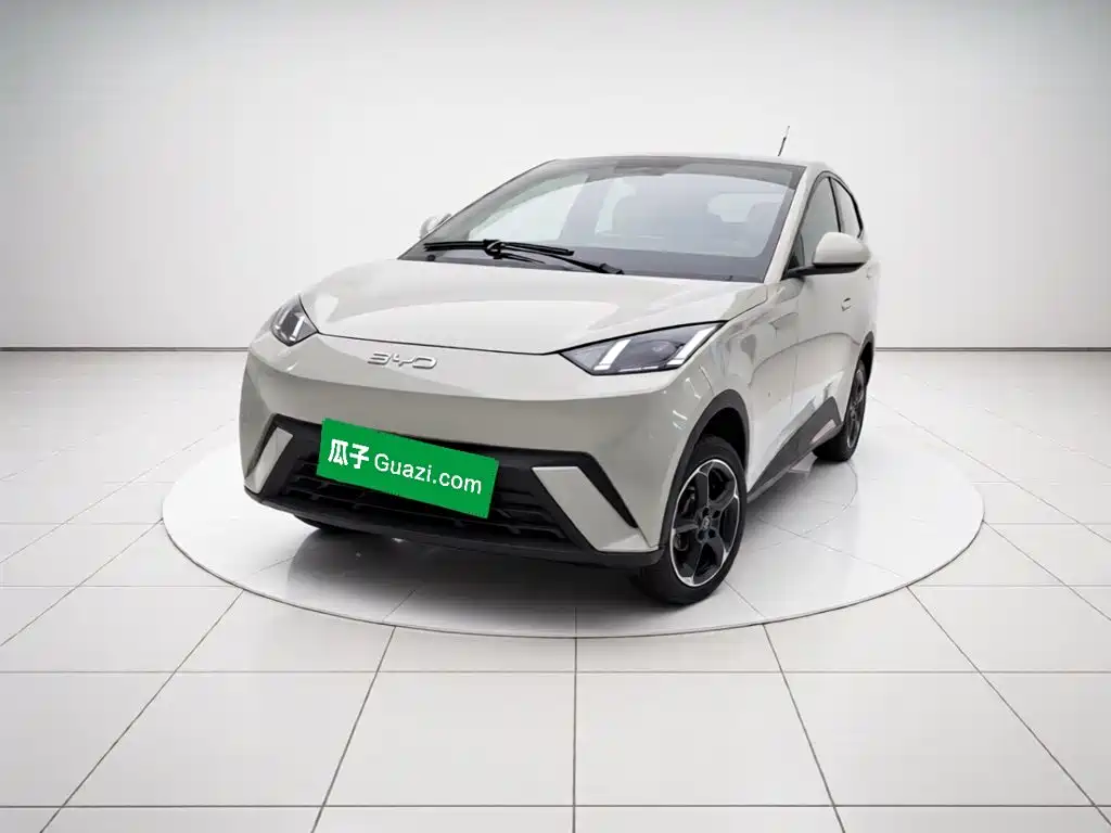 BYD Seagull 2024