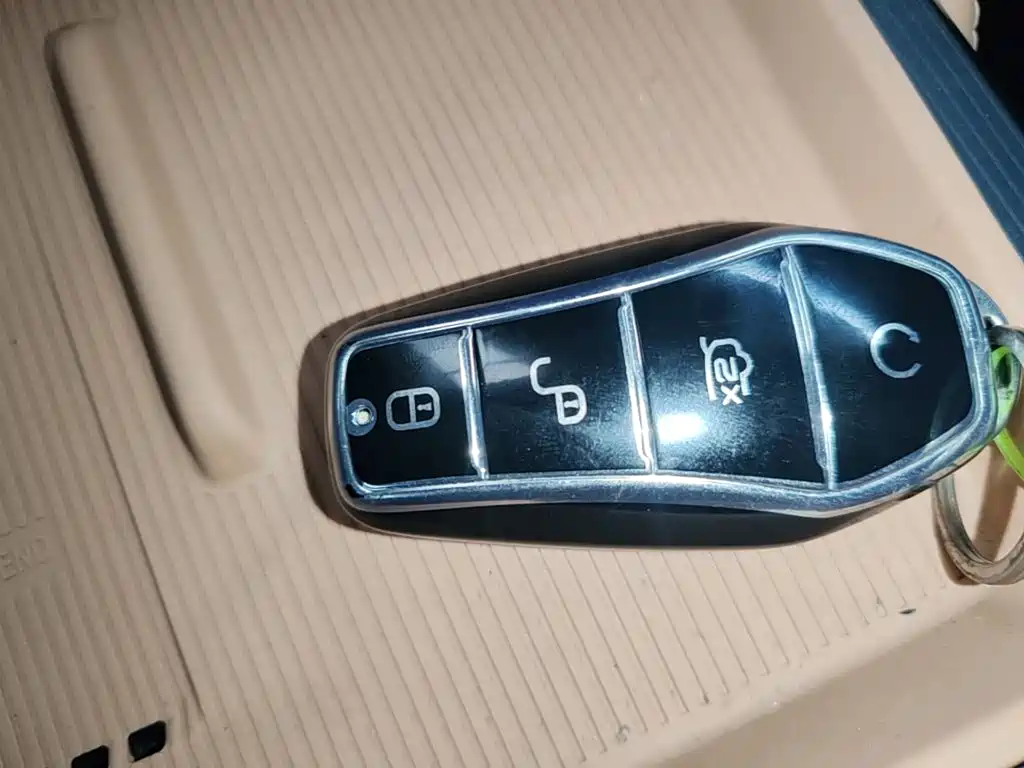 BYD Song L DM-i 2024 — фото 9
