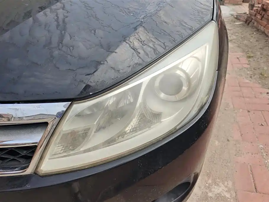 BYD Surui 2012