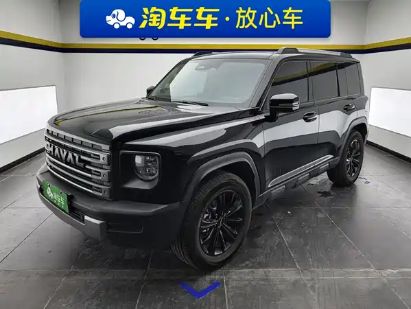 Haval Raptors New Energy 2024