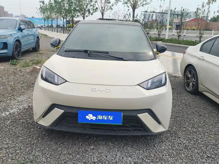 BYD Seagull 2025