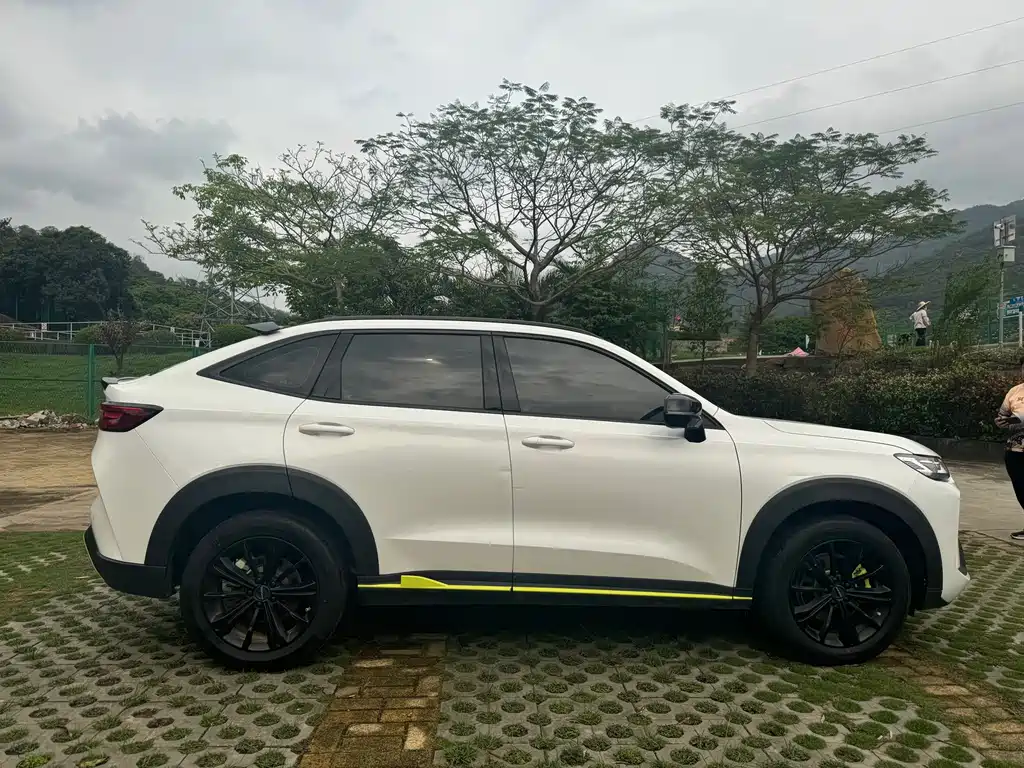 Haval H6S 2023 — фото 17