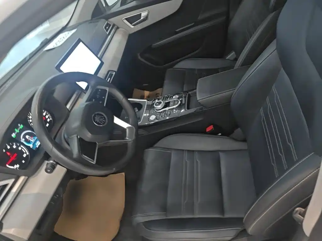 BYD Qin NEV 2024 — фото 15