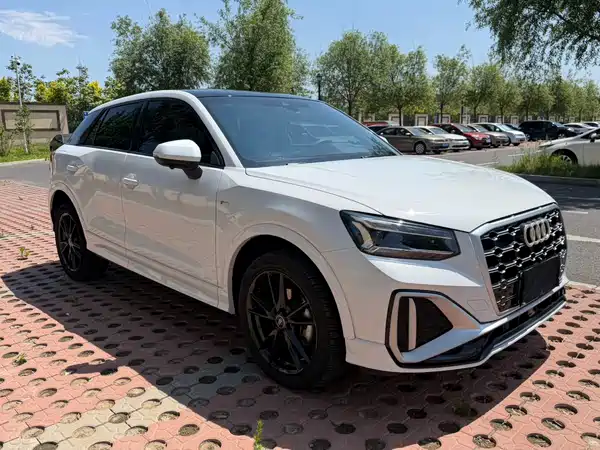 Audi Q2L 2022