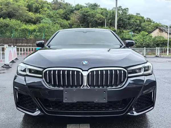 BMW 5 Series 2021