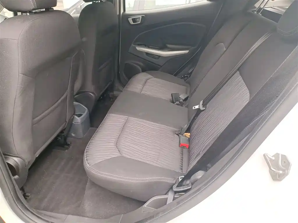 Ford Ecosport 2015 — фото 17