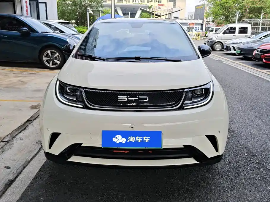 BYD Dolphin 2024