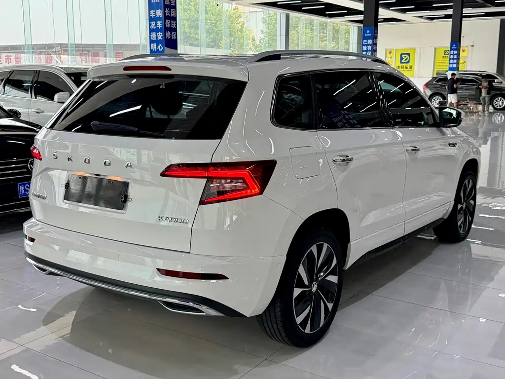 Skoda Karoq 2023 — фото 12
