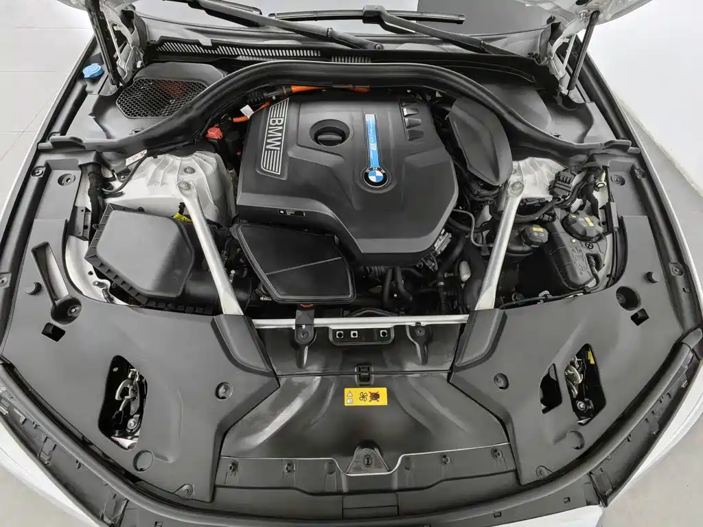 BMW 5 Series New Energy 2019