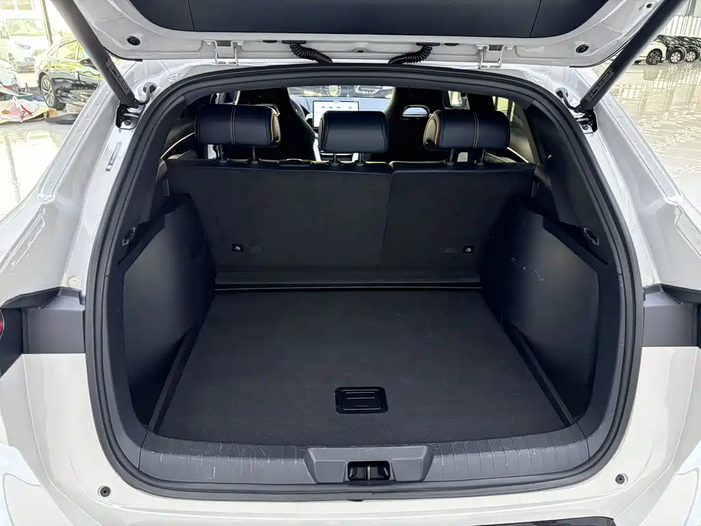 BYD Song PLUS New Energy 2024 — фото 18