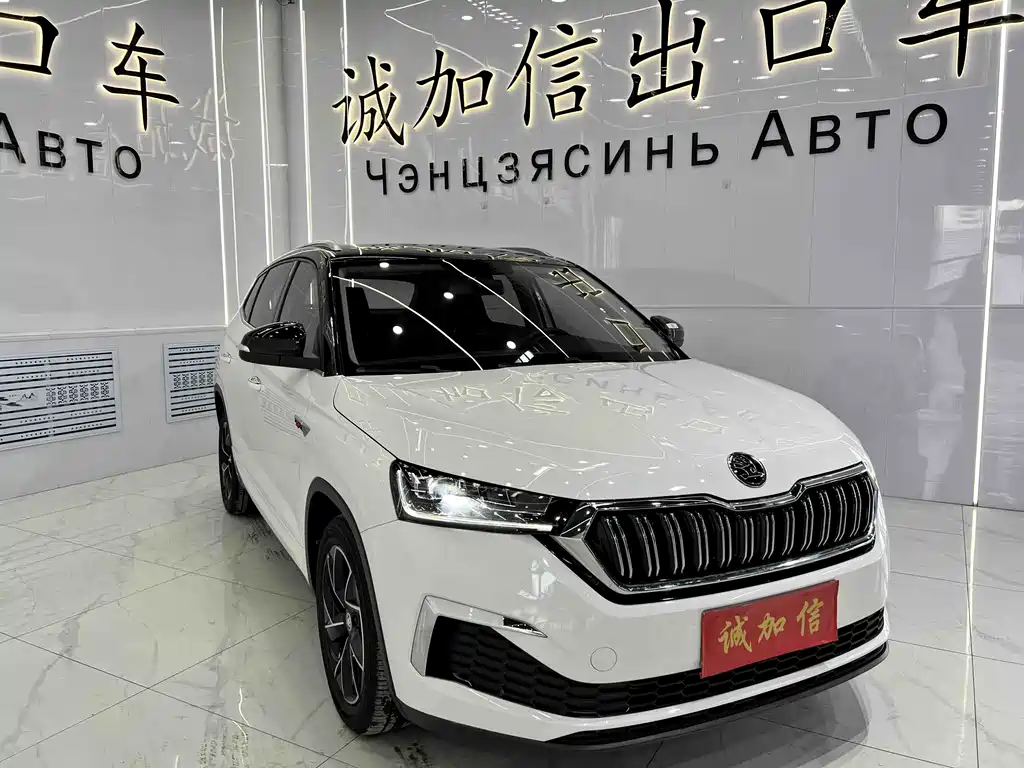 Skoda Kamiq 2023 — фото 3