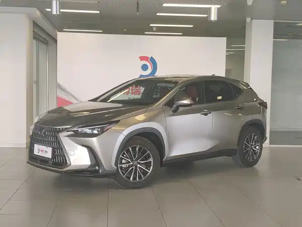 Lexus NX New Energy 2022