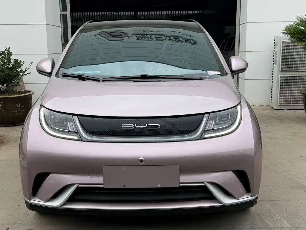 BYD Dolphin 2022